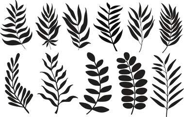 Set of leaves. Hand drawn decorative elements. Vector illustration