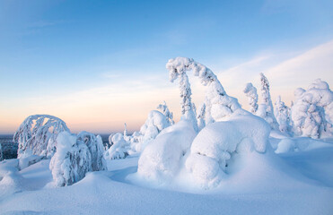 Fototapeta na wymiar Arctic landscape with frozen trees in Lapland Finland