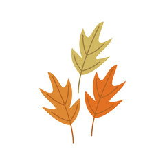 Naklejka na ściany i meble Autumn Leaves Illustration
