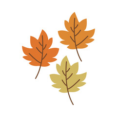 Autumn Leaves Illustration