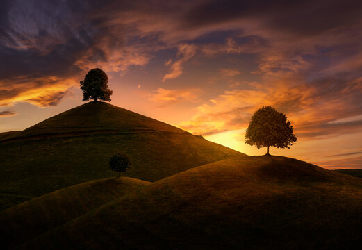 Die magaischen drei Linden