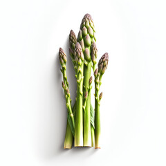 asparagus isolated on white background.generative AI. illustration