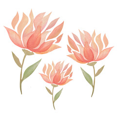 three red watercolor flower on transparent background