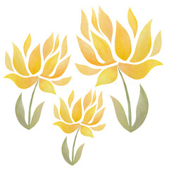three yellow watercolor flower on transparent background. Summer and spring watercolours tulips. Greeting card clipart