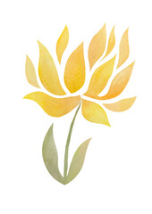 Yellow watercolor flower on a transparent background. Summer and spring watercolours collection of tulips. Greeting card clipart