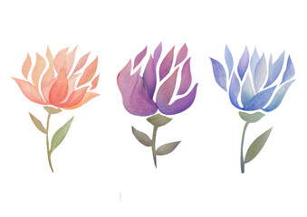 three watercolor flowers on a transparent background. Red, Purple, Blue