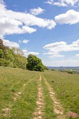 Walking tracks in the summertime hills of England.