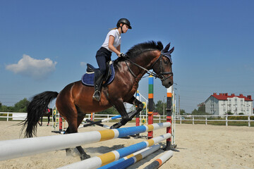 Girl jockey riding a horse jumps over a barrier on equestrian competitions. Girl riding a horse on jumping competitions.