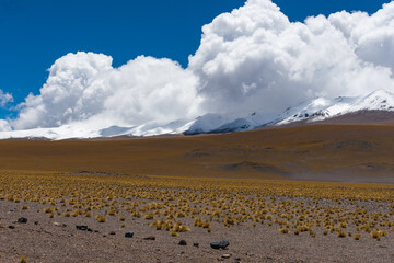 Montaña con vegetacion en la base y nubes en el fondo, Fiambala, Catamarca, Argentina