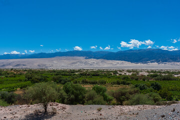 Dunas de Taton, Fiambala, Catamarca, Argentina