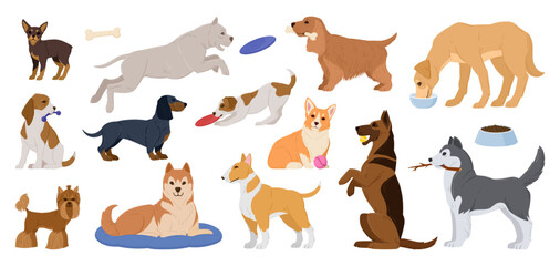 Cartoon purebred dogs. Happy active puppies, sleeping, playing and eating domestic dogs, corgi and husky cute pets flat vector illustration set. Dogs animal characters