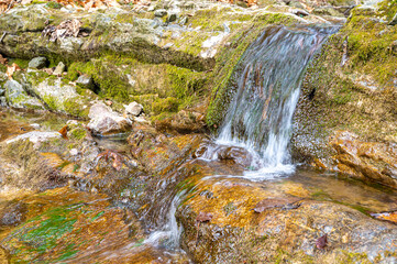 Mountain stream, water shortage and drought. Dry rivers.
