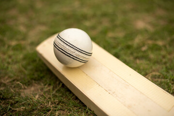 Close-up of cricket white ball on cricket bat against green grass pitch.