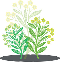 Twigs with yellow flowers and green leaves. Vector file for designs.