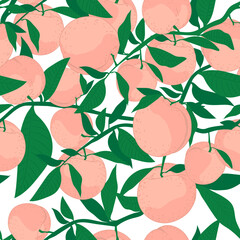 Seamless peach fruit pattern. Vector illustration of fruits. Summer tropical endless background. Vector design of fruits for labels, fabrics, packaging.