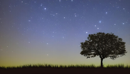 幻想的な星空と木のシルエット