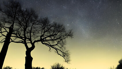 幻想的な星空と木のシルエット