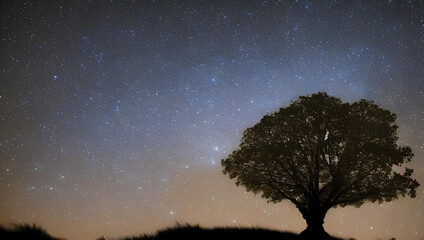 Obraz na płótnie Canvas 幻想的な星空と木のシルエット