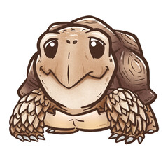 Vector illustration of Cartoon tortoise, Sulcata tortoise