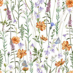 Meadow flowers and herbs  seamless pattern. Common blue butterflies and meadow cornflowers, Consolida regalis, Chamerion angustifolium, Cosmos flower. - 573939163