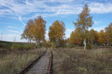 Fototapeta na wymiar autumn abandoned railway
