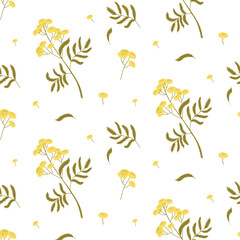 Light seamless pattern with twigs and flowers of tansy on a white background