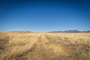 A dirt road leading off into the distance to mountains on the horizon under a clear blue sky.