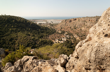 The Carmel  forest near Haifa city in northern Israel