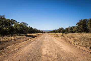 A dirt road leading off into the distance to mountains on the horizon under a clear blue sky.