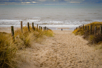 Walking near the sea on the sand beach , Katwijk