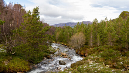 Fototapeta na wymiar river in the mountains of Scotland