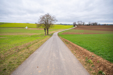 Agricultural path between multiple agricultural fields landscape during cloudy day