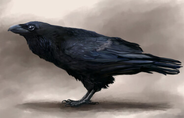 Raven Side View Portrait Digital Illustration