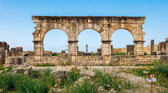 Roman ruins of Volubilis- Meknes province in Morocco