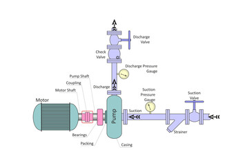 Centrifugal Pump and Motor