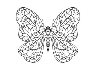 Butterfly. Contour illustration of an insect.