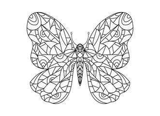 Butterfly. Contour illustration of an insect.