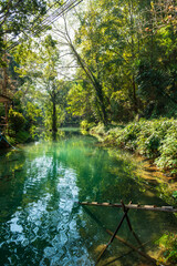 Many fishe in clear water running from inside to the front of the cave at Wat Tham Chiang Dao, Chiang Dao, Chiang Mai, Thailand.