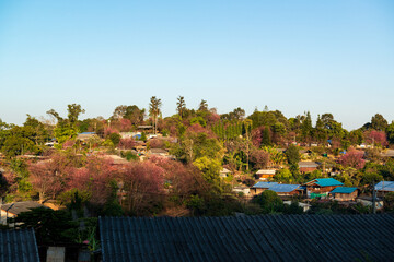 Ban Khun Chang Khian village, Chiang Mai, Thailand...