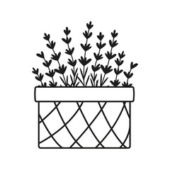 Wicker basket with hand drawn lavender flowers. Vector illustration. Simple doodle style.