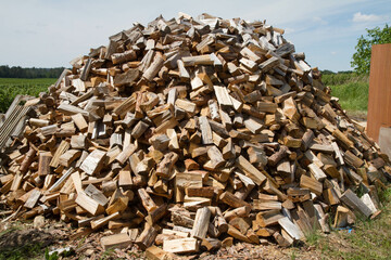 Woodpile of chopped tree trunks, stored for firewood