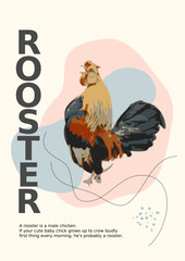 Rooster cover wall art print art illustration