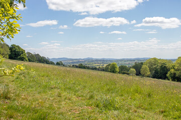 Summertime trees and scenery along the Bromyard Downs of England.