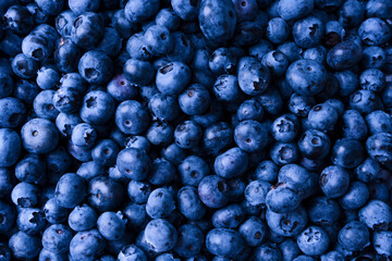 Fresh blueberry background. Texture blueberry berries close up.