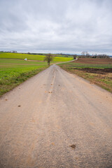 Agricultural path between multiple agricultural fields, stacked straw bale in the distance, cloudy day landscape, vertical shot