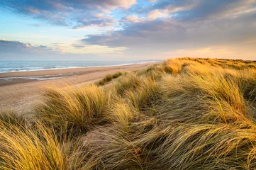 Fotobehang Kust Golden Light on Marram Grass in Druridge Bay, located on the North Sea in Northumberland's AONB in England, it is a 7 miles long bay between Amble and Cresswell  © drhfoto