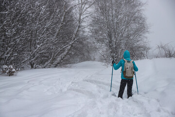 a girl in a hoodie making her way through a snowy forest using poles, hiking in the mountains during a blizzard