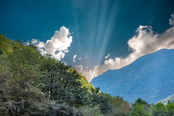 Mountains and forests of Abkhazia.