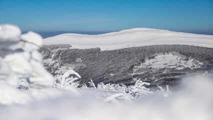 panorama of mountains with shrubs covered by a thick layer of snow, frozen mountain vegetation covering the slopes of mighty mountains © Lens Down Under