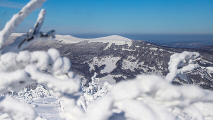 panorama of mountains with shrubs covered by a thick layer of snow, frozen mountain vegetation covering the slopes of mighty mountains © Lens Down Under